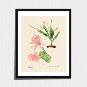 Set of 3 Vintage Art Prints